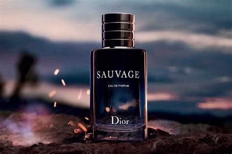 dior sauvage target|Dior Sauvage best price.